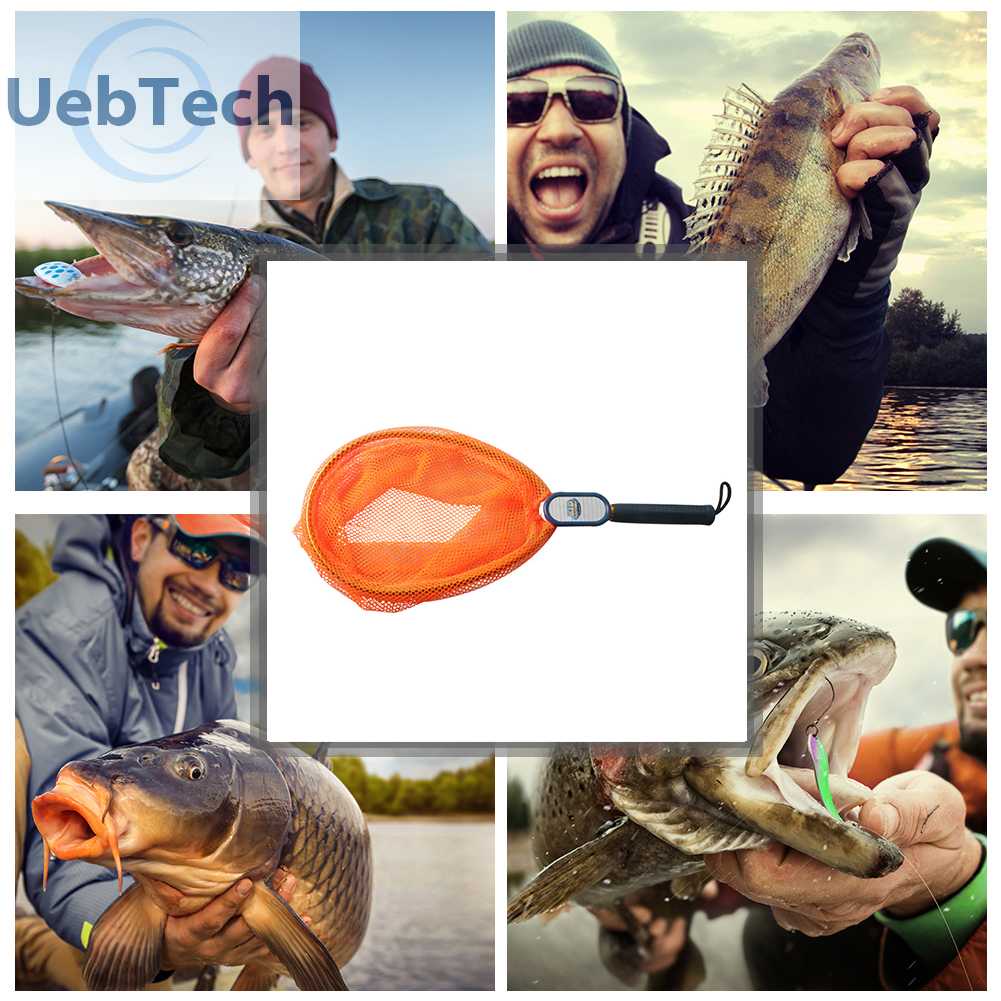 Lưới Đánh Bắt Cá Chống Trượt Trọng Lượng Nhẹ Tiện Dụng