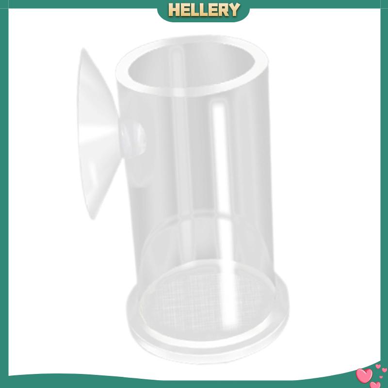 Ống Cho Cá Ăn Bằng Acrylic Trong Suốt Tiện Dụng