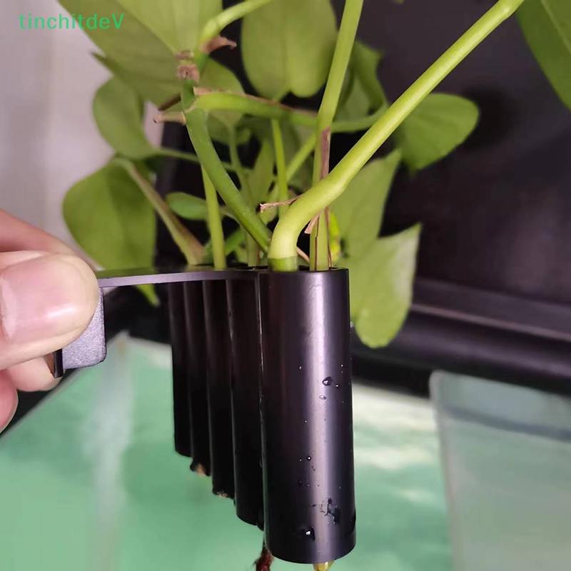 Giỏ Trồng Cây Trang Trí Bể Cá Có Tích Hợp Tích Hợp Tiện Lợi