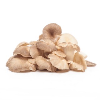 Nấm Bào Ngư Xám THT (Khay 200g)