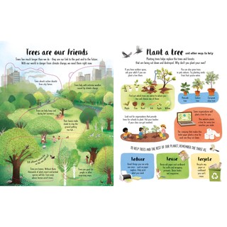 Sách Lift-the-Flap Trees (Board Book)