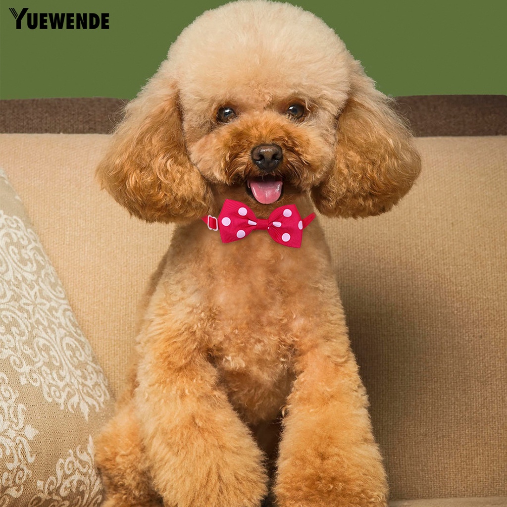 Nơ Đeo Cổ Họa Tiết Chấm Bi Xinh Xắn Cho Thú Cưng