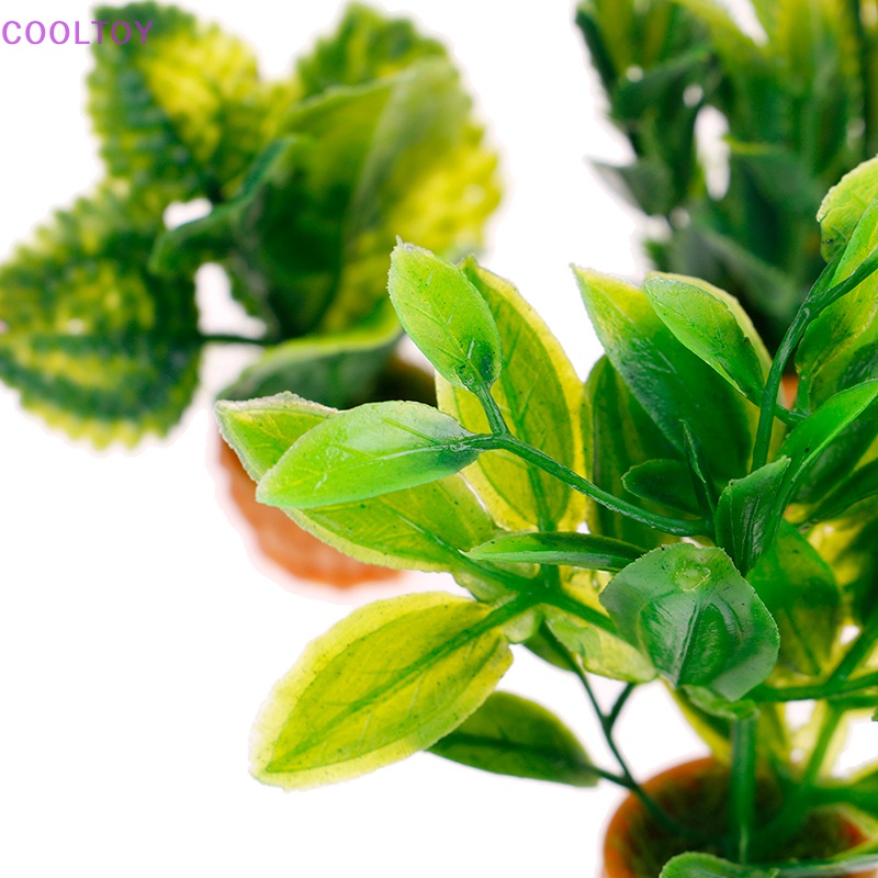 1 Đồ trang trí Nhà Búp Bê COOLTOY 1: 12 Mini Trang Trí Tiểu Cảnh