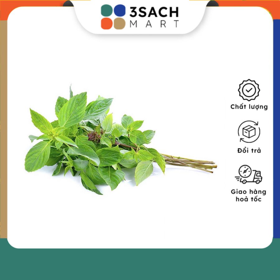 Húng Quế - 100g/gói - Rau Củ Quả | Bachhoa.Extra.vn