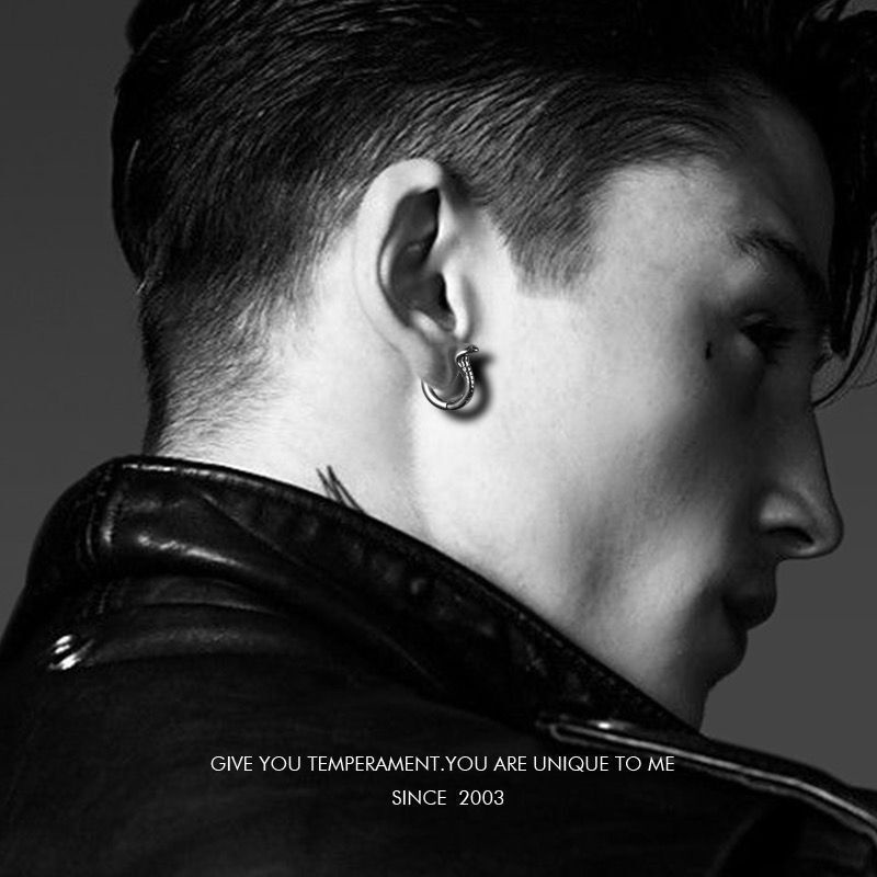 Bông Tai Mạ Bạc 925 Hình Rắn Phong Cách Hip Hop Âu Mỹ Thời Trang Cho Nam Và Nữ