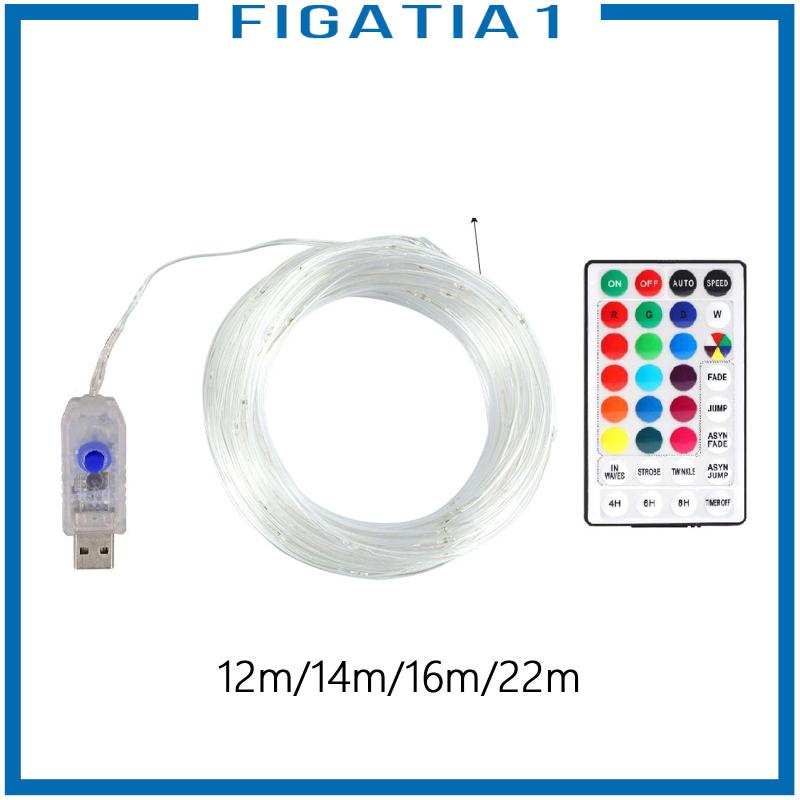Dây Đèn LED Điều Khiển Từ Xa Cho Vũ Công Ngoài Trời
