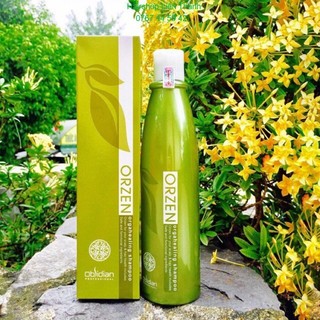 Gội chống rụng tóc Orzen Orgahealing Shampoo 320g ( Obsidian)