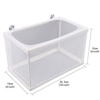 Hộp Ấp Trứng Nuôi Cá Cảnh