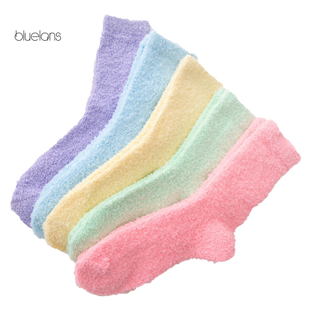 Set 5 Đôi Vớ Lông Cừu San Hô Co Giãn Nhiều Kiểu Dáng Tùy Chọn