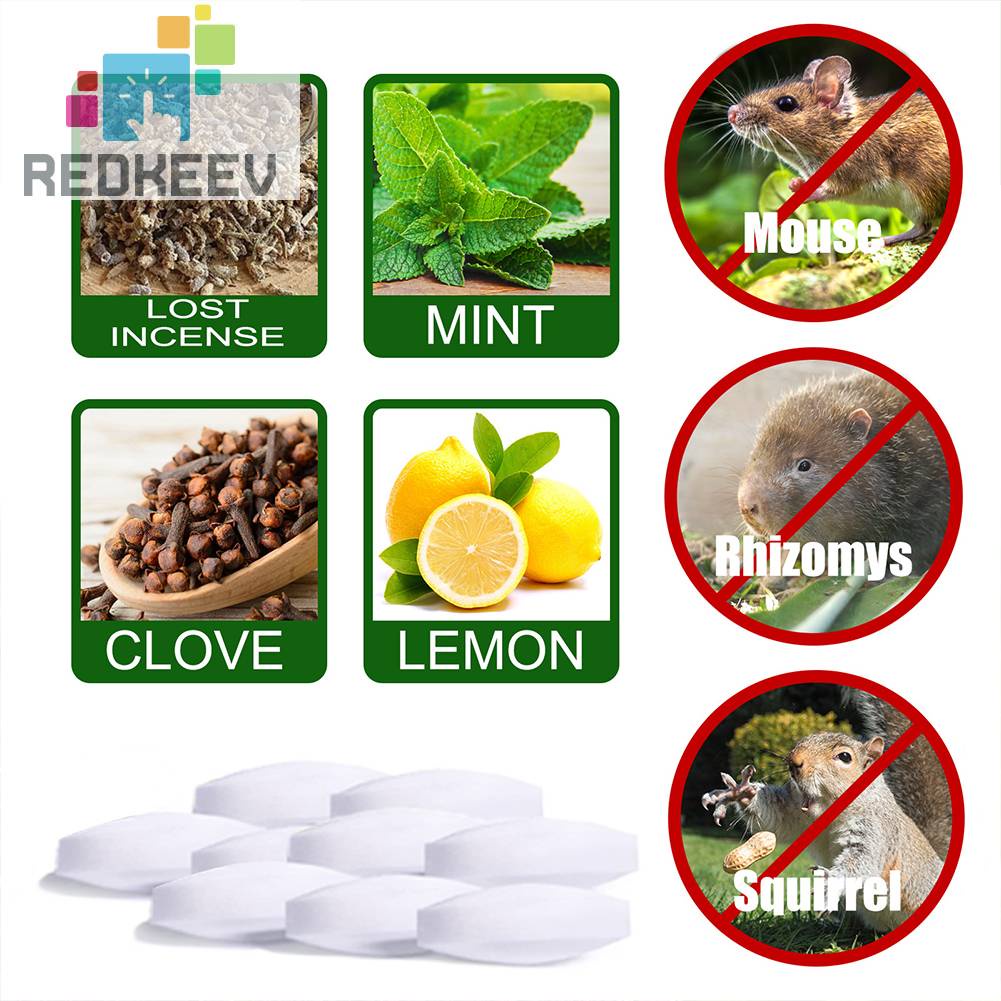 Set 8 Bóng Đuổi Chuột Tiện Dụng Chất Lượng Cao