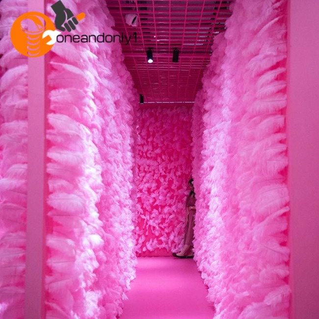 Bộ 100 Lông Đà Điểu 15-20cm Tự Nhiên Dùng Trang Trí Tiệc Cưới