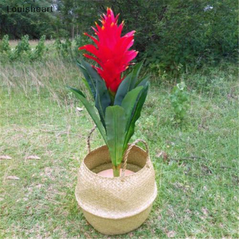 Giỏ Mây Louisheart Hình Tròn Có Tay Cầm Bằng Gỗ Tự Nhiên Dùng Trồng Cây Tiện Dụng