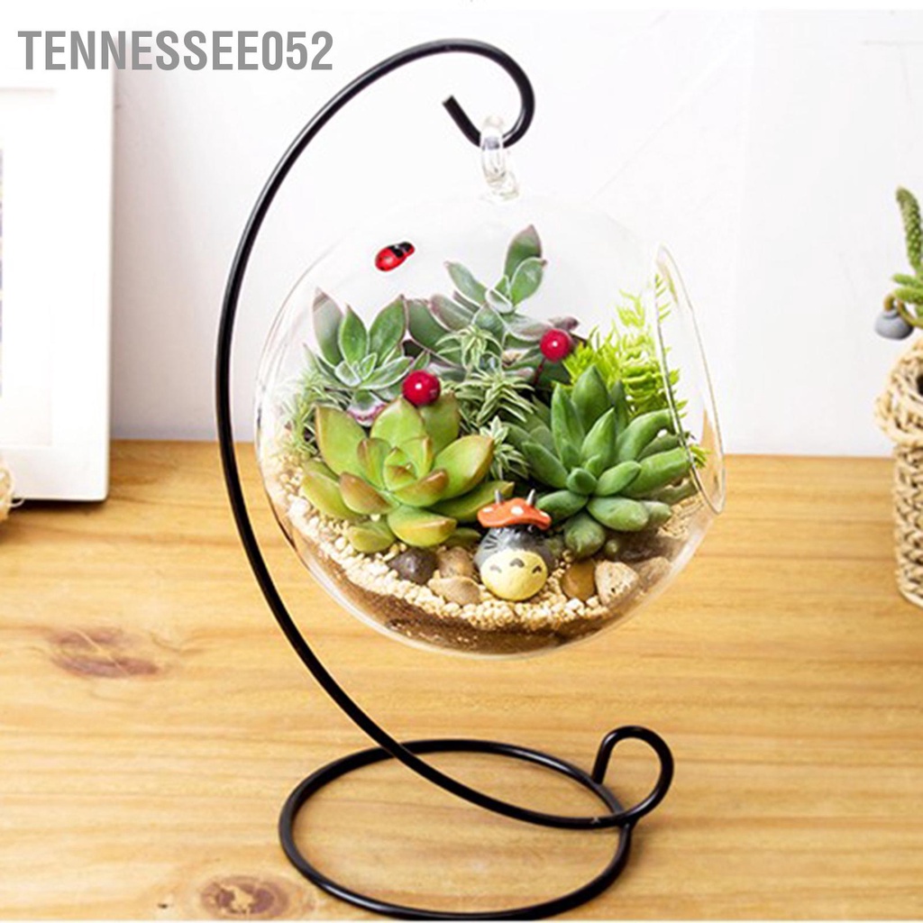 Tennessee052 Bình thủy tinh treo Terrarium lớn có khung cho cây không khí Chậu trồng mọng nước