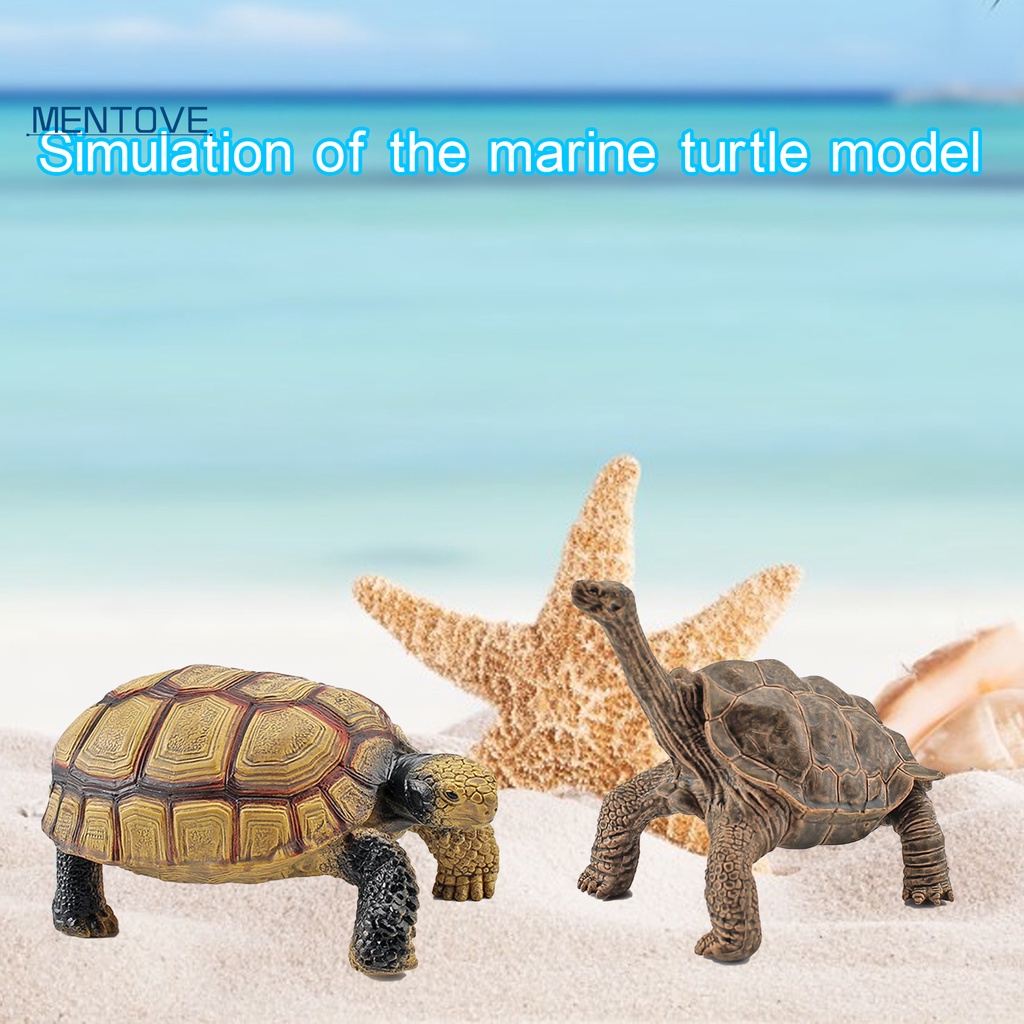 Mô Hình Rùa Biển 3D Sống Động Cho Bé