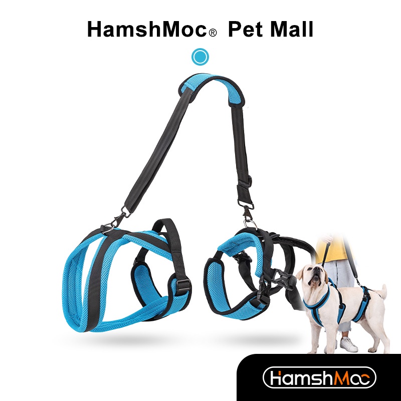 HamshMoc Dây Đai Hỗ Trợ Dắt Thú Cưng Đi Dạo Thiết Kế Thoáng Khí Tiện Dụng