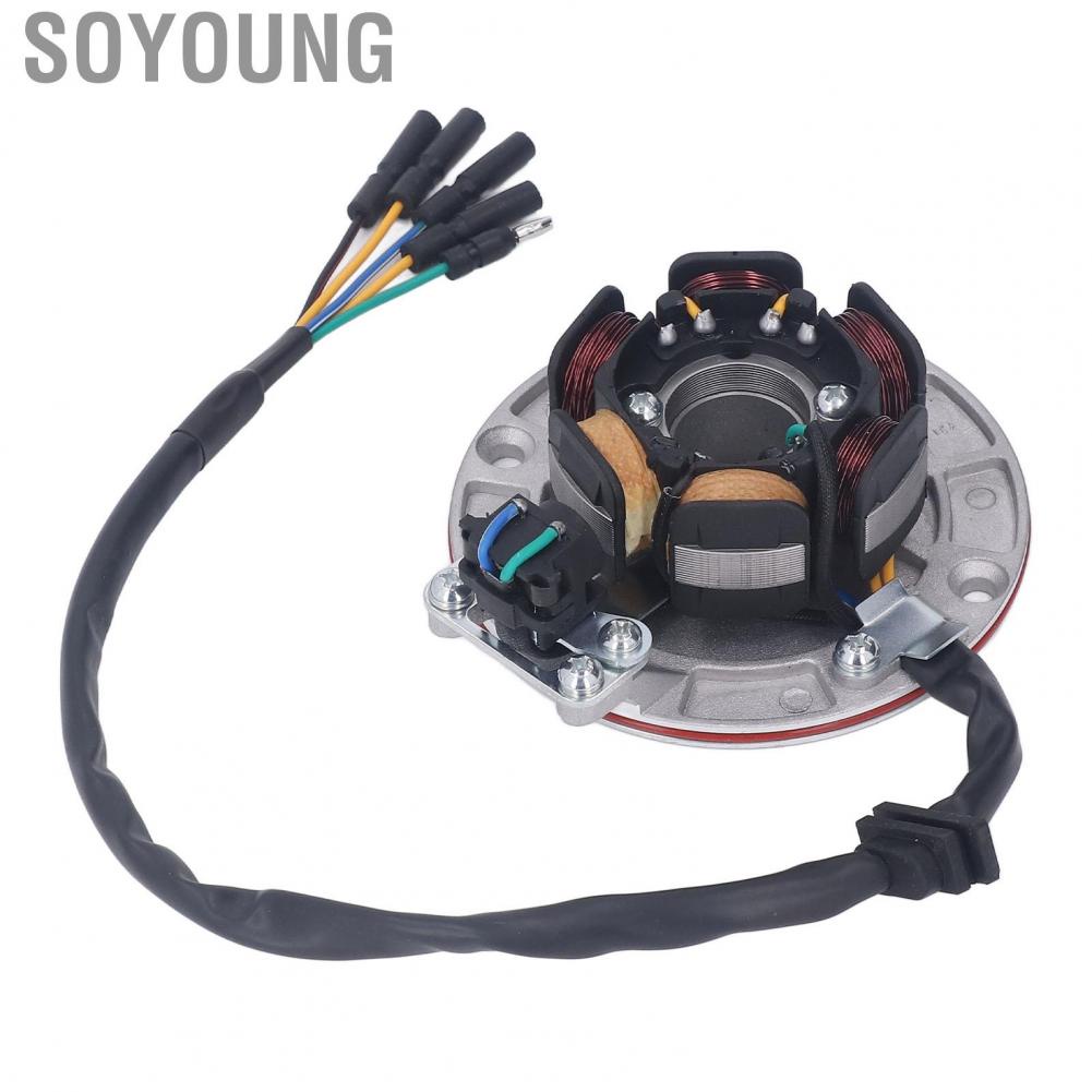 Soyoung Ignition Stator Rotor  Powerful Increase Intensity 75.10mm Coil Diameter 100.19mm Mounting Hole Magneto Flywheel for Motorcycle