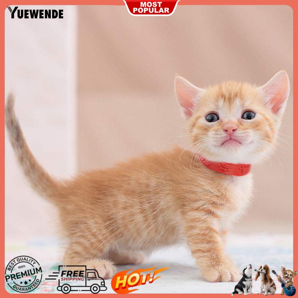 Vòng Cổ Màu Đỏ Mềm Mại Có Thể Tháo Rời Cho Thú Cưng