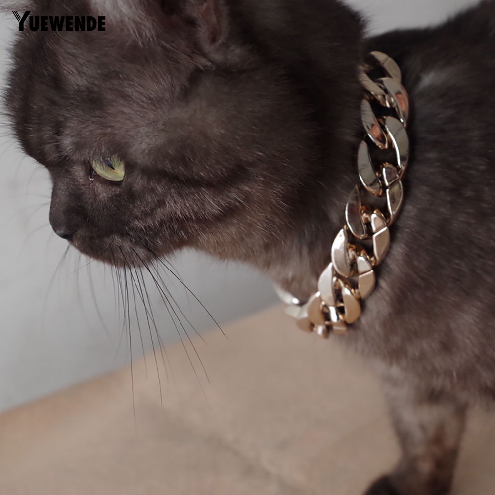 Vòng Cổ Bản Rộng 36cm / 45cm Có Thể Điều Chỉnh Cho Thú Cưng