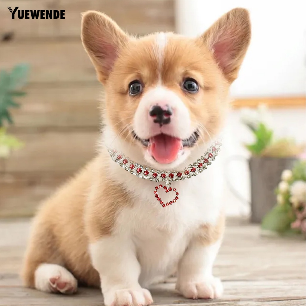 Vòng Cổ Chống Cắn Cho Thú Cưng