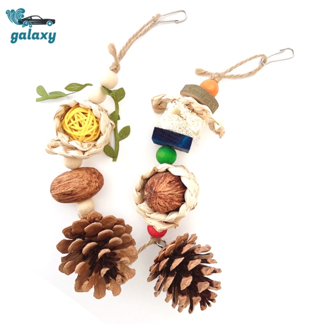 Galaxy Đồ Chơi Nhai Gặm Hình Nón Quả Thông Dành Cho Chim Vẹt