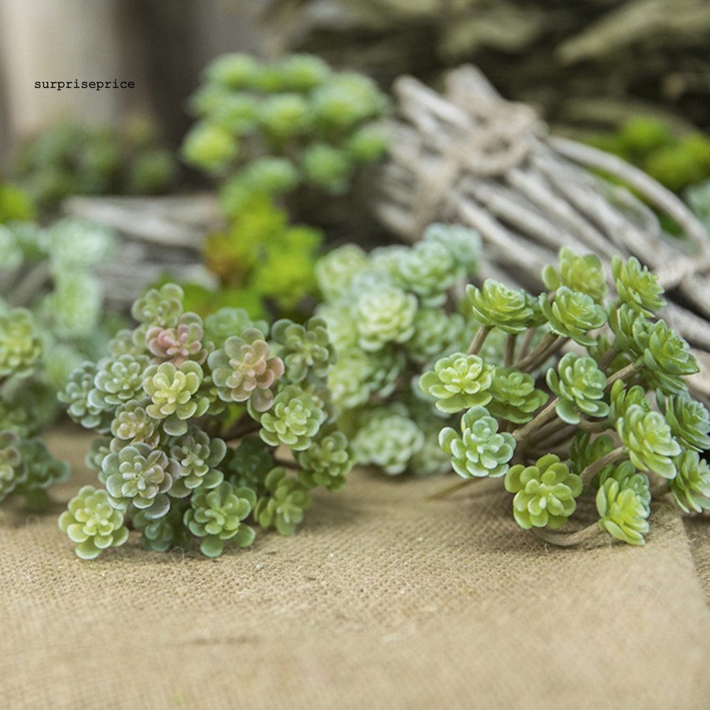 Chậu Cây Giả 24 Đầu Không Phai Màu Thân Thiện Với Môi Trường Trang Trí Phòng Khách SPA