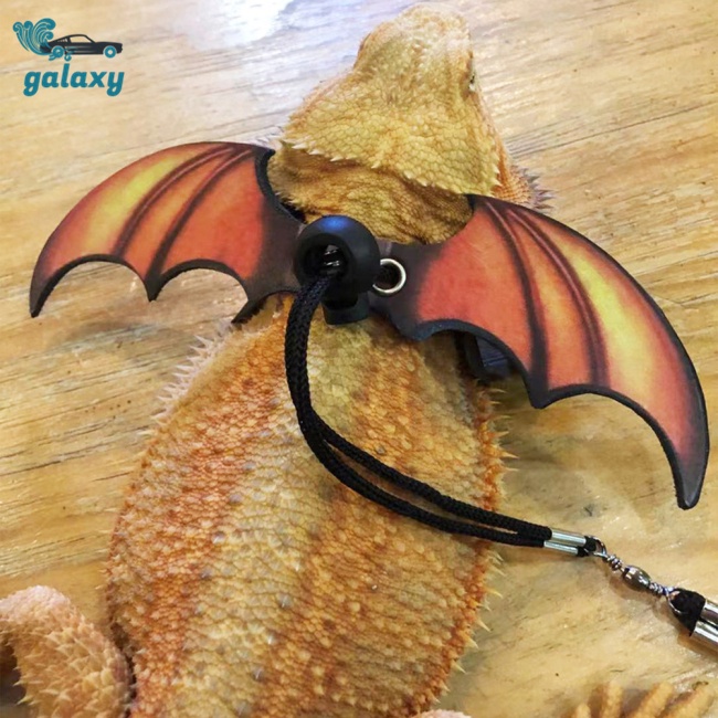 Galaxy Dây Dắt Thú Cưng Đi Dạo Bằng Da Có Thể Điều Chỉnh