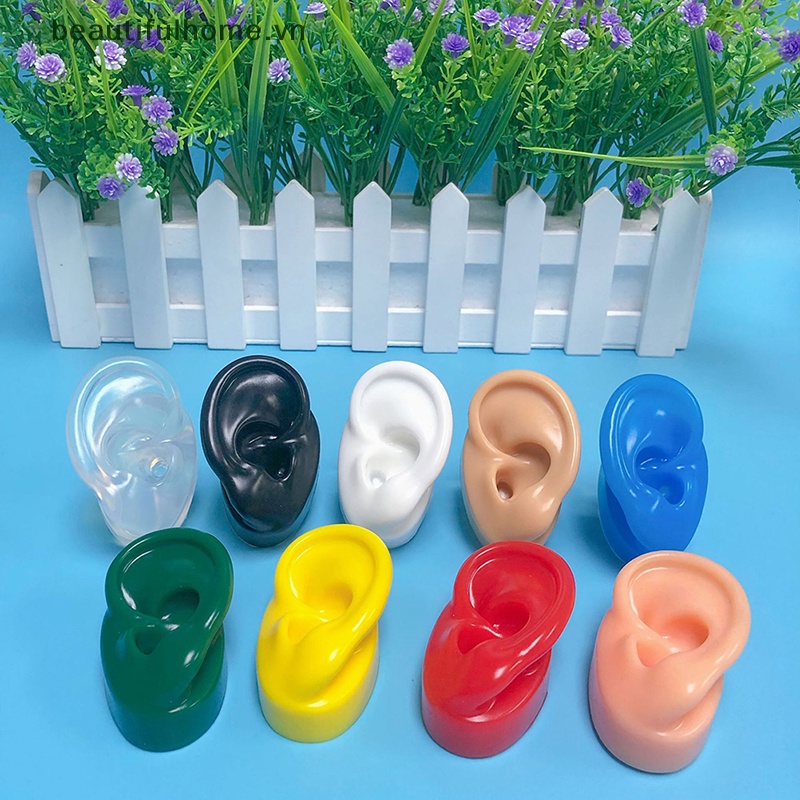 1 Mô Hình Tai Nhân Tạo Bằng Silicon Mềm Dùng Dạy Học