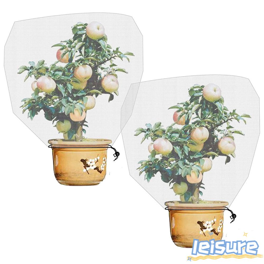 Tấm Lưới Che Phủ Vườn Cây Chống Côn Trùng Tiện Dụng