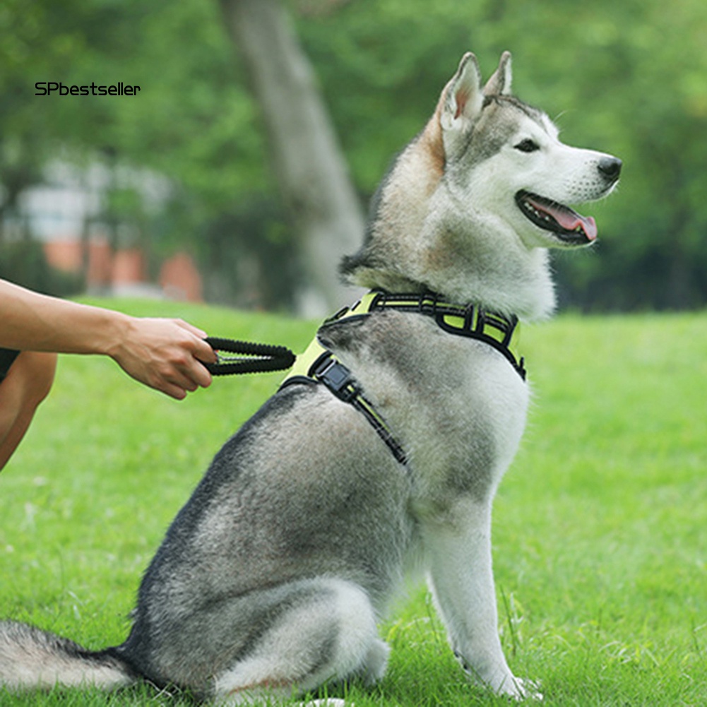 Dây Dắt Thú Cưng Đi Dạo Có Đệm Phản Quang Thoáng Khí Điều Chỉnh Được