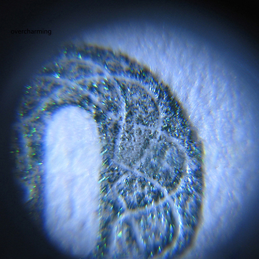 Kính Hiển Vi Phóng Đại 60 Lần Có Đèn LED UV