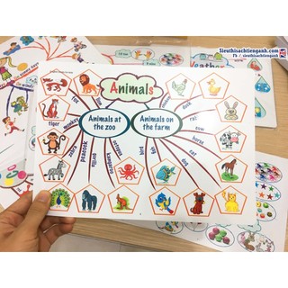 Tranh sơ đồ tư duy MIND MAP - 11 TỜ - A3