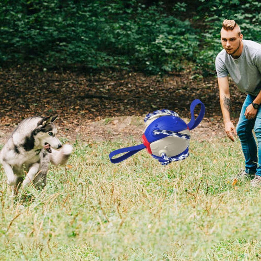 1 Trái Bóng Đồ Chơi Chống Cắn AARON1 Cho Thú Cưng