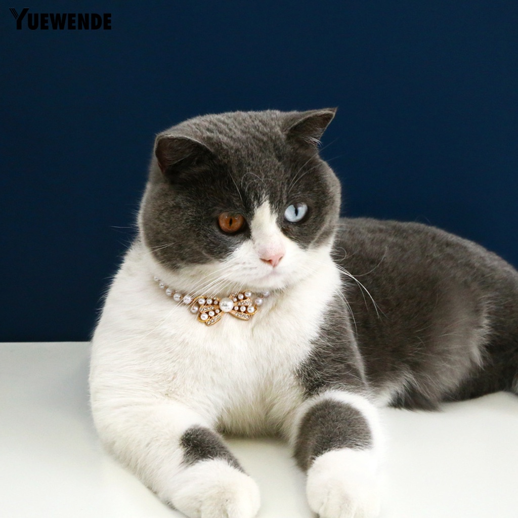 Vòng Cổ Đính Ngọc Trai Nhân Tạo Thời Trang Dành Cho Thú Cưng