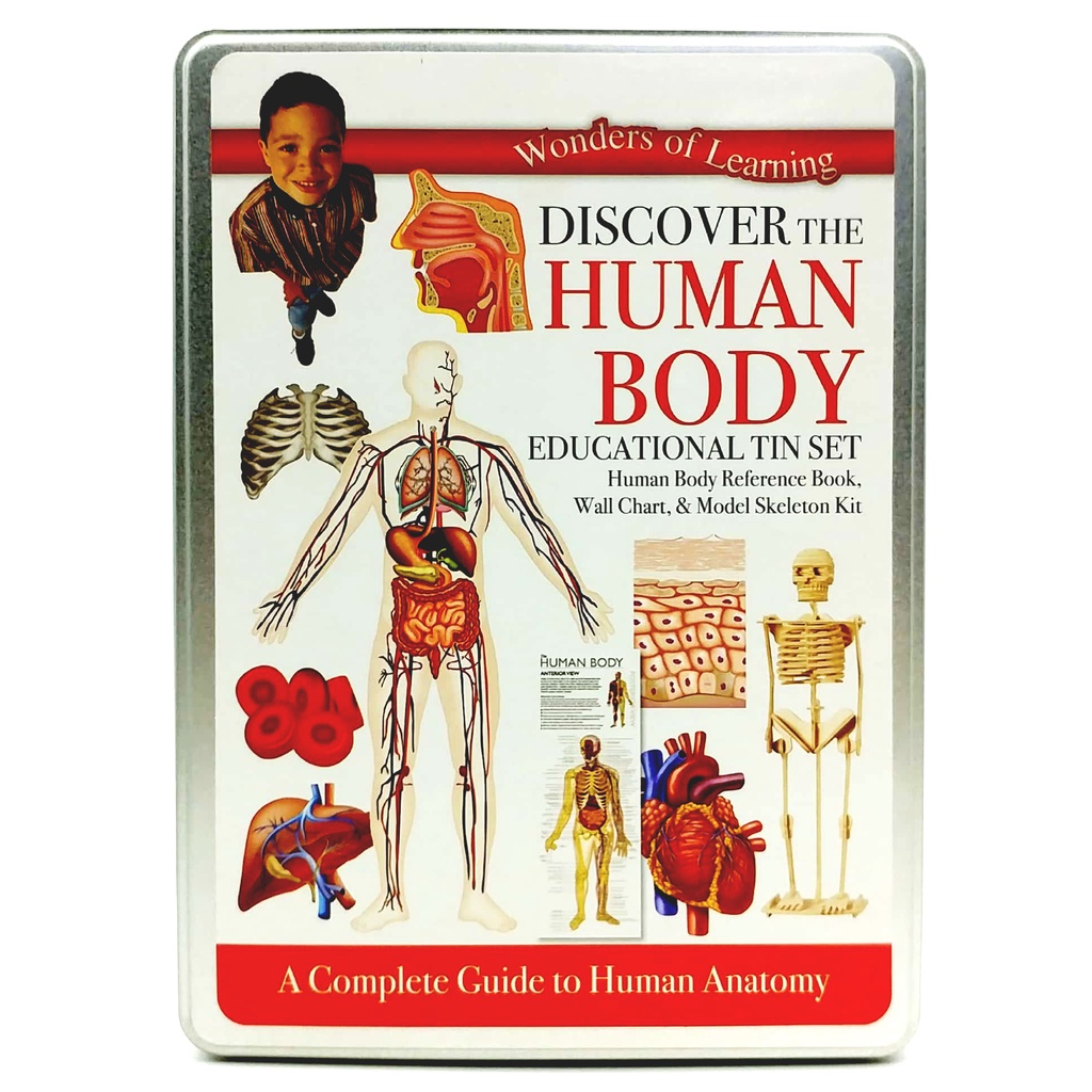 Tin Set - Discover The Human Body