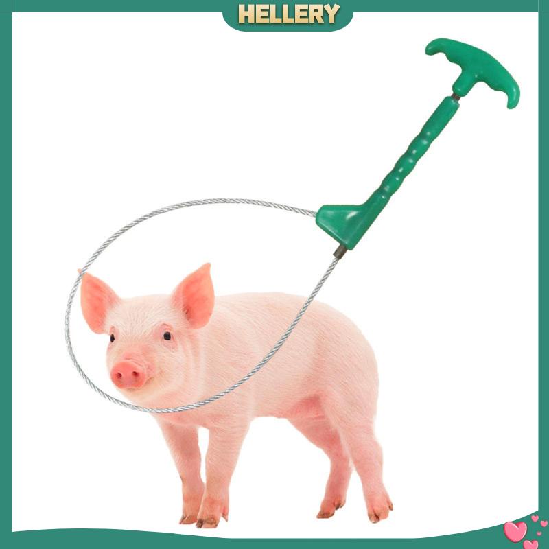 Giá Đỡ Điều Khiển Bắt Heo / Thú Cưng Chịu Được Sức Nặng