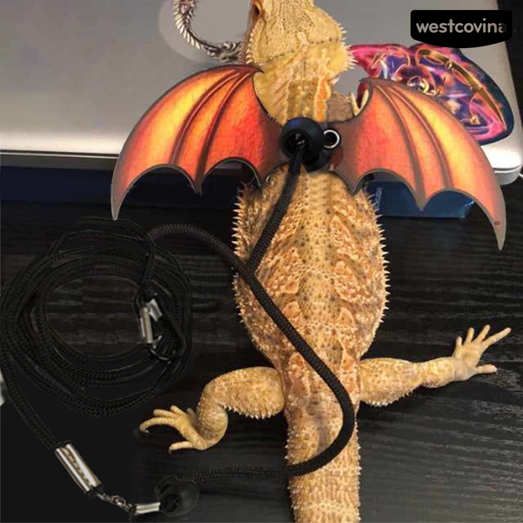 [COD]♞Dây Dắt Thú Cưng Đi Dạo Bằng Da Giả Có Thể Điều Chỉnh