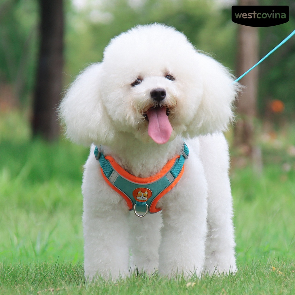 [COD]♞Set 2 Dây Dắt Thú Cưng Đi Dạo Chống Cút Thiết Kế Phản Quang Thoáng Khí