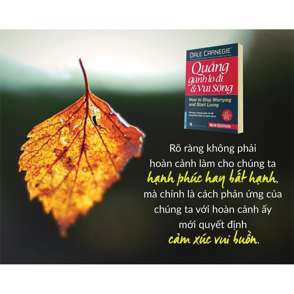 Sách - Quẳng Gánh Lo Đi Và Vui Sống  - Dale Carnegie