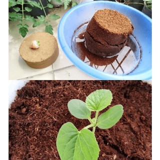 Combo 3 viên bánh xơ dừa dạng nén - dùng trồng rau,trộn đất trồng cây