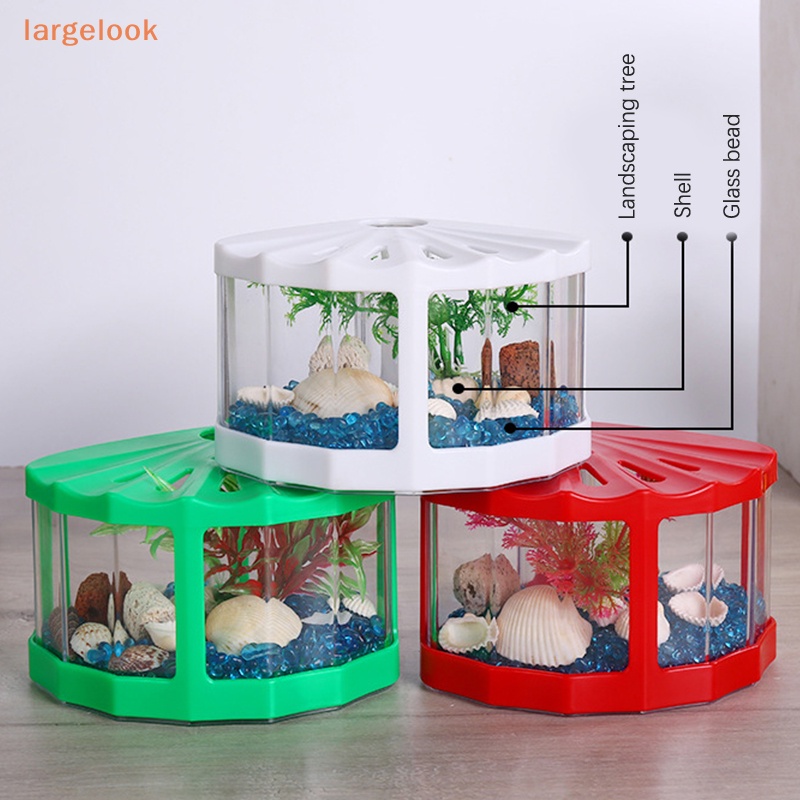 Hộp Đựng Côn Trùng Mini Trong Suốt Có Nắp Đậy Hình Chú Rùa Trang Trí Bàn Cà Phê / Phòng Khách / Văn Phòng