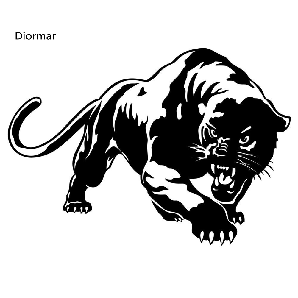 Miếng Dán Trang Trí Ngoại Thất Xe Hơi Họa Tiết Da Báo Cá Tính DIO J-250