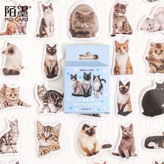 Bộ 45 miếng dán hình mèo kitty dễ thương trang trí sổ tay