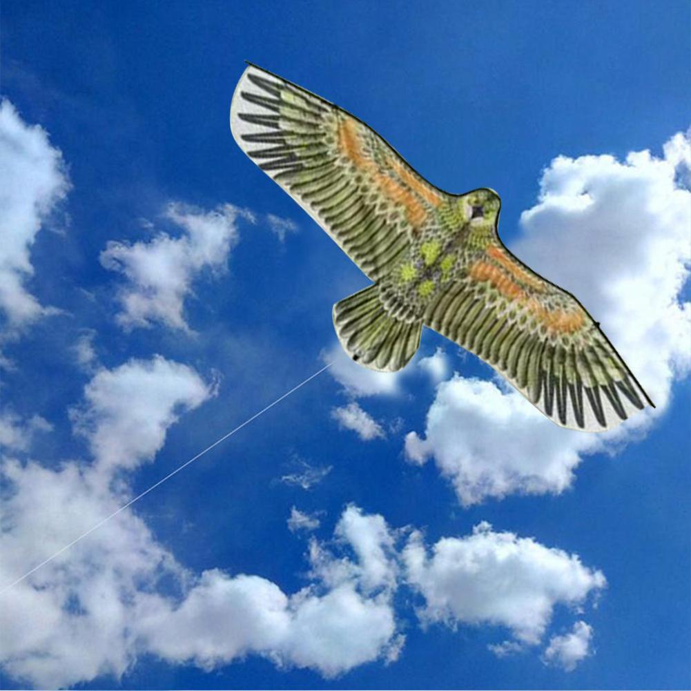 Diều Hình Chim Đại Bàng Kèm Dây Quấn F6E3