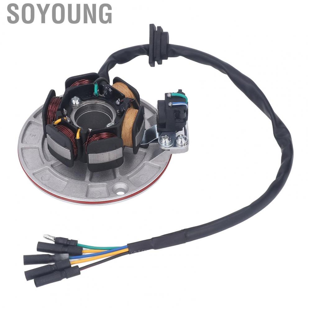Soyoung Ignition Stator Rotor  Powerful Increase Intensity 75.10mm Coil Diameter 100.19mm Mounting Hole Magneto Flywheel for Motorcycle