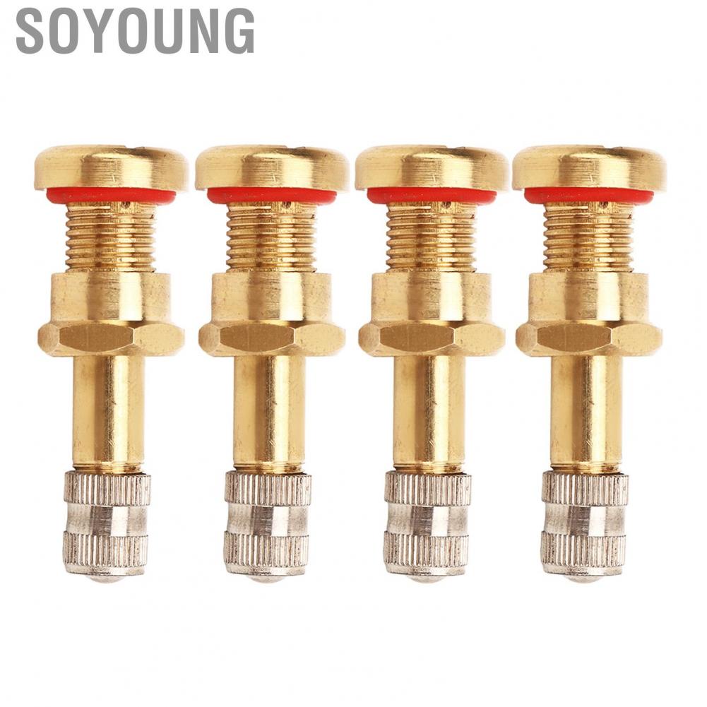 Soyoung Wheel Valve Stem  Stable Performance 20Pcs Truck Tubeless Tyre for 9.7mm Hole Van