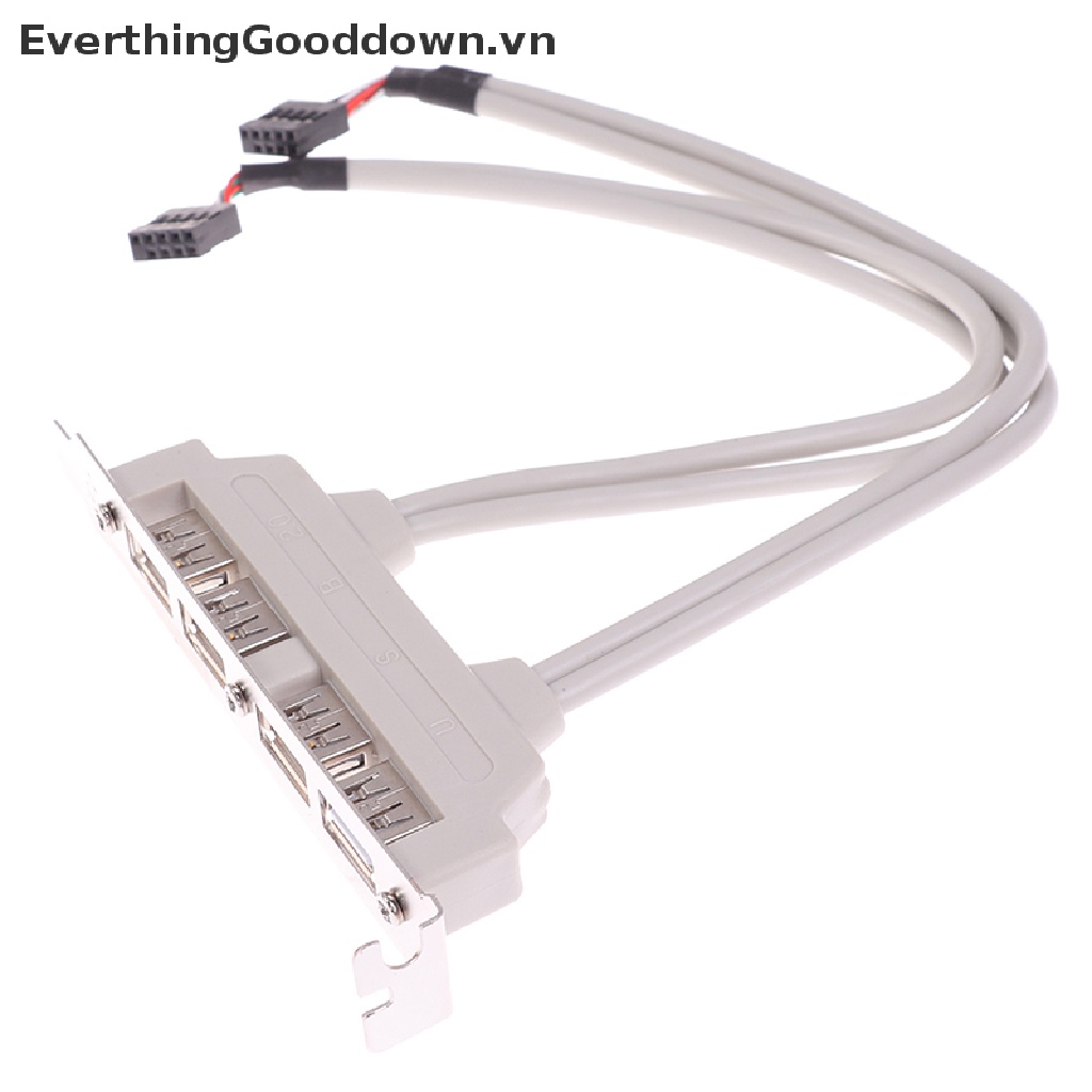Everthingood Cáp Mở Rộng 4 Cổng USB 2.0 Sang 9 Pin Cho Bảng Điều Khiển PC vn