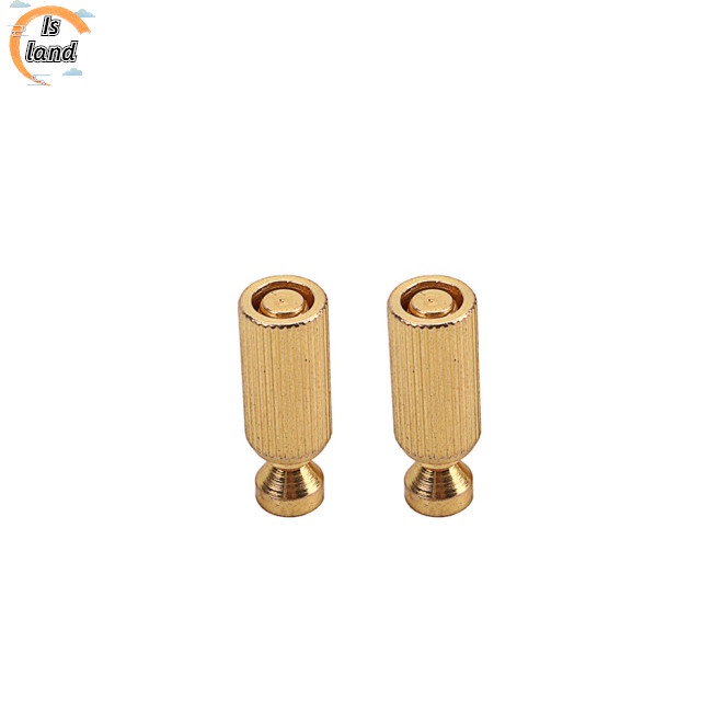 Bộ 2 Đinh Tán Tremolo Có Thể Điều Chỉnh Cho Đàn Guitar Điện