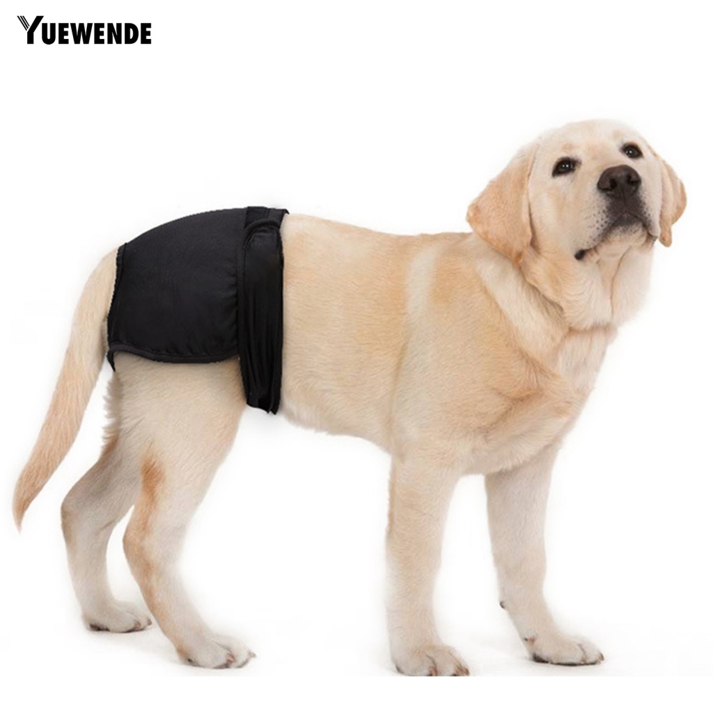 Tã Quần Thoáng Khí An Toàn Có Thể Giặt Cho Thú Cưng