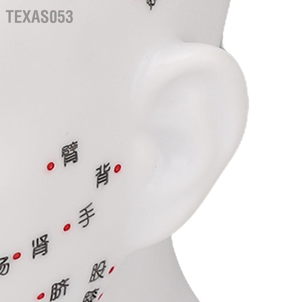 Texas053 Huyệt Đầu Mẫu PVC Trắng Massage Mặt Kinh Tuyến Đạo Cụ Giảng Dạy 11.8 Inch
