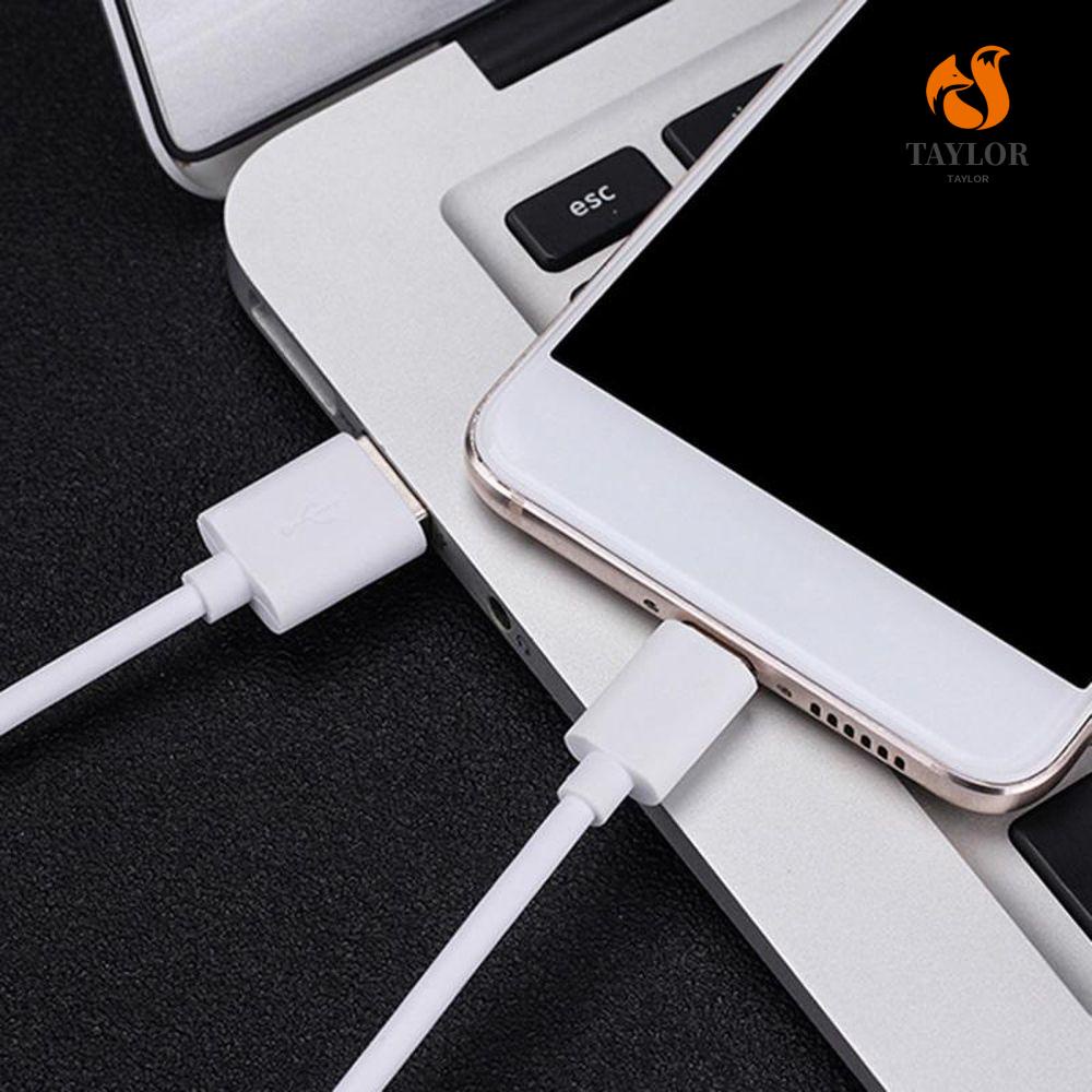 Dây Cáp Sạc Nhanh Truyền Dữ Liệu Tốc Độ Cao Loại C 5A Dành Cho Điện Thoại TAYLOR1
